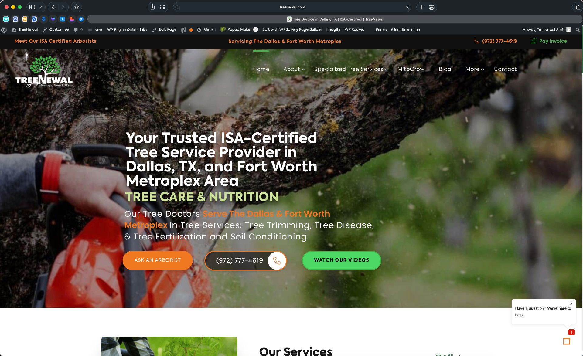 treenewal website screenshot